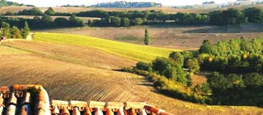 Poggio Cantarello Vacanze Chiusi Extérieur photo